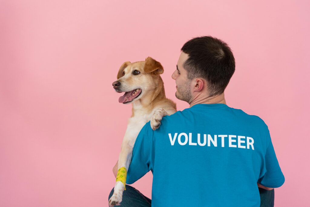 Volunteer Charity